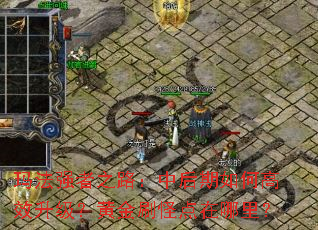 �귨ǿ��֮·���к�����θ�Ч�������ƽ�ˢ�ֵ������