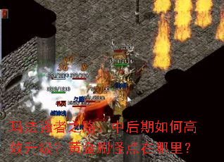 �귨ǿ��֮·���к�����θ�Ч�������ƽ�ˢ�ֵ������