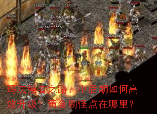 �귨ǿ��֮·���к�����θ�Ч�������ƽ�ˢ�ֵ������