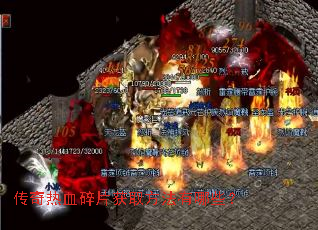 ������Ѫ��Ƭ��ȡ��������Щ��