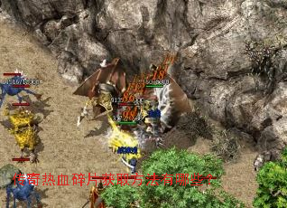 ������Ѫ��Ƭ��ȡ��������Щ��