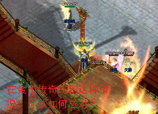 �ڽ�Ҵ����������������������Ӧ�ԣ�