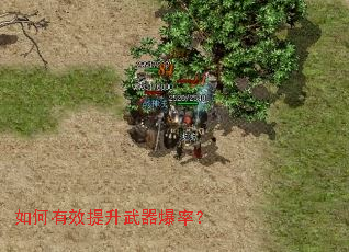 �����Ч�����������ʣ�