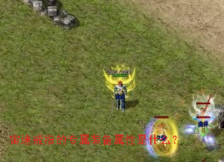 ��Ͻ�ָ��ר��װ��������ʲô��