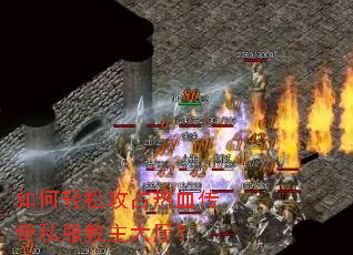 ������ɹ�ռ��Ѫ����˽������������