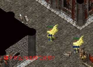 �ĸ�ְҵ�ķ�ʦ��û�ã�