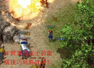 �������սʿ�����Ἴ����ʤս����