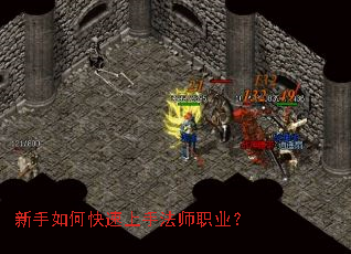 ������ο������ַ�ʦְҵ��