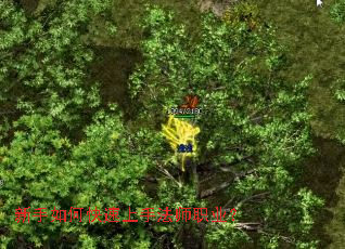 ������ο������ַ�ʦְҵ��