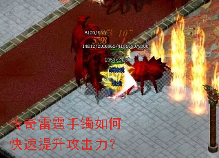 ��������������ο���������������