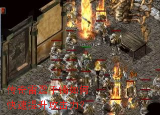 ��������������ο���������������