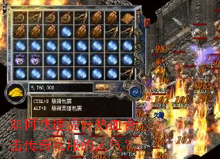 ��ο���������Ѫ�ϻ�����˽����������