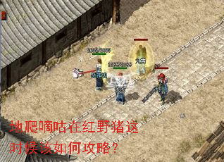 �����ֹ��ں�Ұ����ʱ�����ι��ԣ�