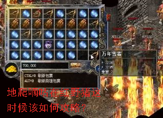 �����ֹ��ں�Ұ����ʱ�����ι��ԣ�