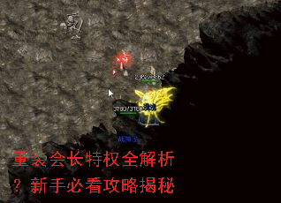 ��װ�᳤��Ȩȫ���������ֱؿ����Խ���