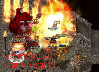 ��ѩ���湥��boss����Щע�����