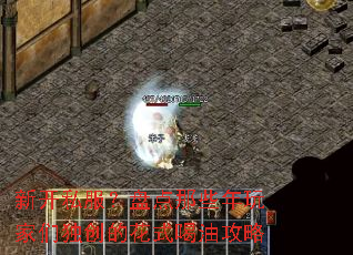 �¿�˽�����̵���Щ������Ƕ����Ļ�ʽ���͹���