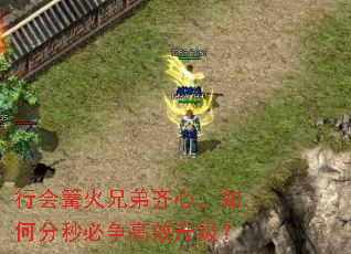 �л������ֵ����ģ���η��������Ч������