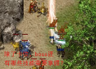 ���˿�λ��boss������Щ������Ҫ���գ�