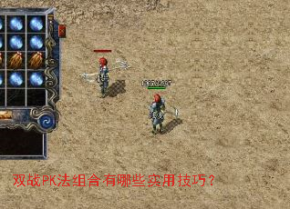 ˫սPK���������Щʵ�ü��ɣ�