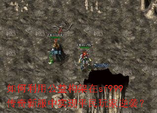 ������ù��湹����sf999�����·���ʵ��ƽ�������Ϯ��