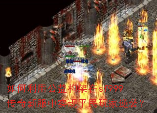 ������ù��湹����sf999�����·���ʵ��ƽ�������Ϯ��