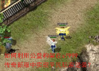 ������ù��湹����sf999�����·���ʵ��ƽ�������Ϯ��