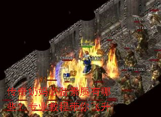 ��������ر���������Щ��רҵ�̴̳������