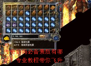 ��������ر���������Щ��רҵ�̴̳������