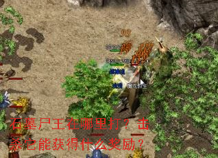 ʯĹʬ��������򣿻�ɱ���ܻ��ʲô������