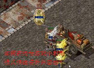 ����ڴ�����Ϸ������ģʽ���������˷ܸУ�