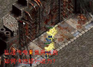 ˽������������������ο�������ս����