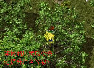 ������ô��������������ɫ�ȼ���