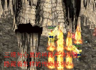 ��������������ز��ؾ��������������Ĵ������ܣ�