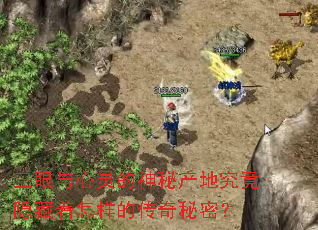 ��������������ز��ؾ��������������Ĵ������ܣ�