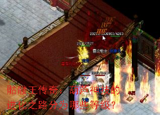 ���������棺��«�񼼵Ľ���֮·��Ϊ��Щ�ȼ���