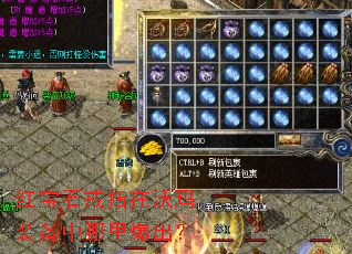 �챦ʯ��ָ������װ�������ﱬ����