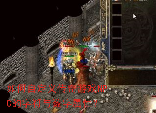 ����Զ��崫����ϷNPC���ַ����������ԣ�