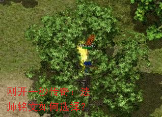 �տ�һ�봫�棺��ʦ�������ѡ��