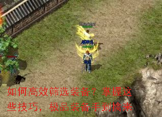 ��θ�Чɸѡװ����������Щ���ɣ���Ʒװ���ֵ�����