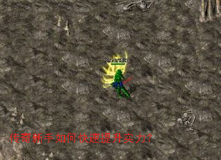 ����������ο�������ʵ����