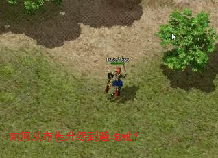 ��δӲ�Ь�������ܻ�ѥ��