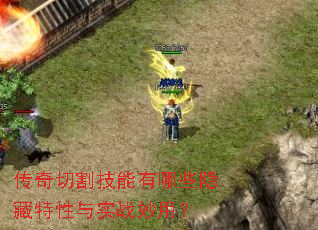 �����и������Щ����������ʵս���ã�