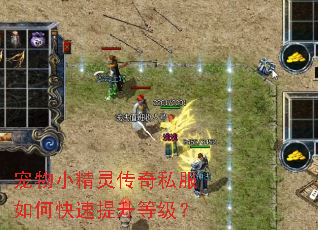 ����С���鴫��˽����ο��������ȼ���