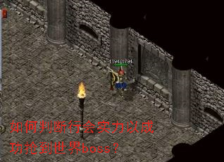 ����ж��л�ʵ���Գɹ���������boss��