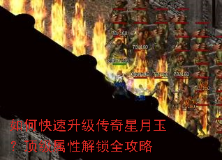 ��ο����������������񣿶������Խ���ȫ����