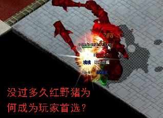 û����ú�Ұ��Ϊ�γ�Ϊ�����ѡ��