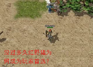 û����ú�Ұ��Ϊ�γ�Ϊ�����ѡ��