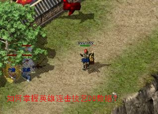 �������Ӣ����������DB���ݣ�