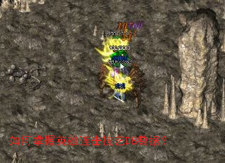 �������Ӣ����������DB���ݣ�